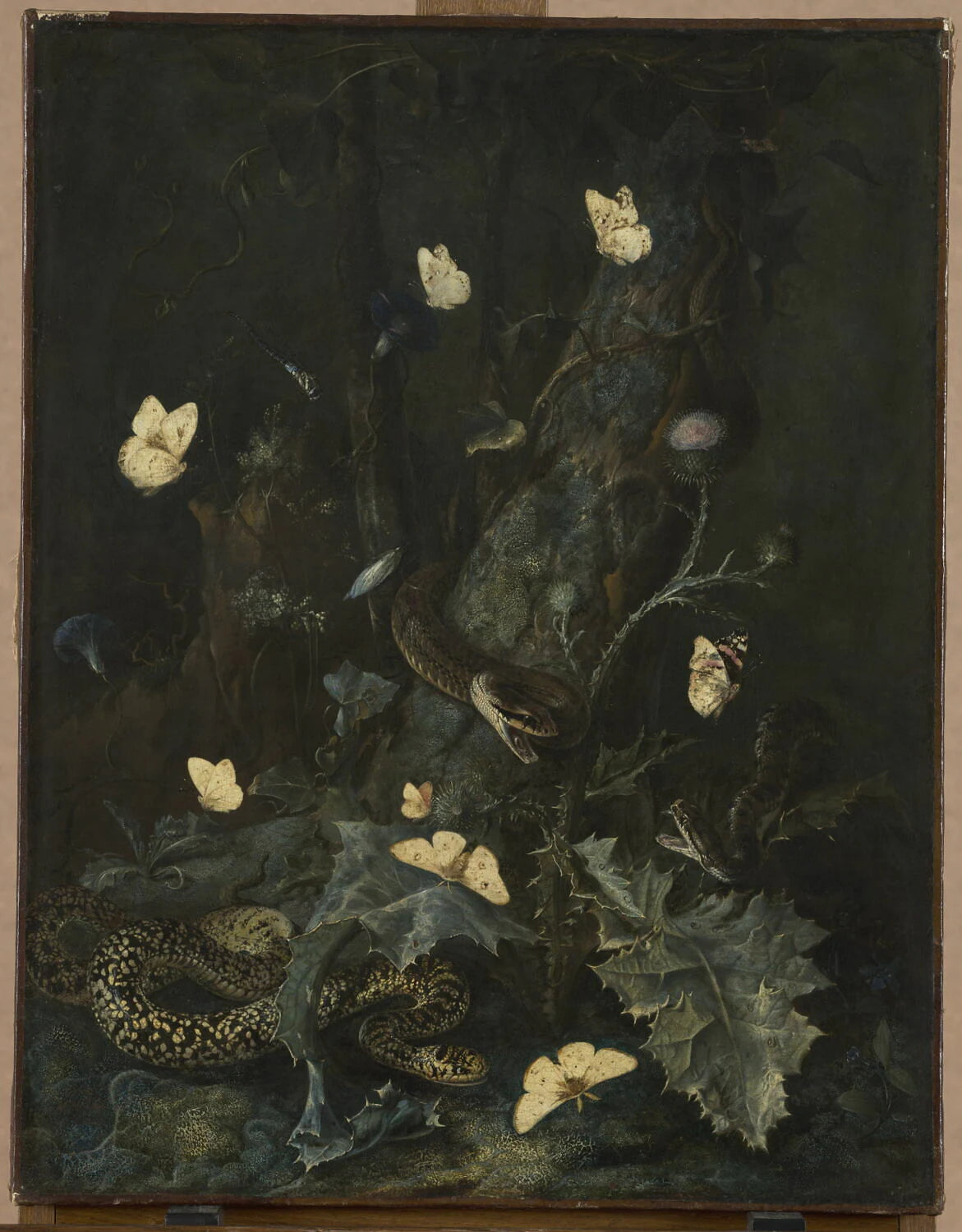 Serpents et papillons dans un sous-bois - Otto Marseus