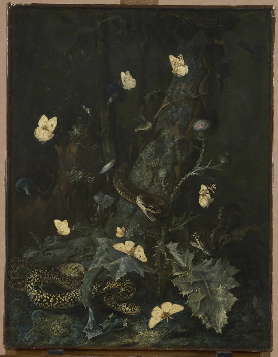 Serpents et papillons dans un sous-bois - Otto Marseus
