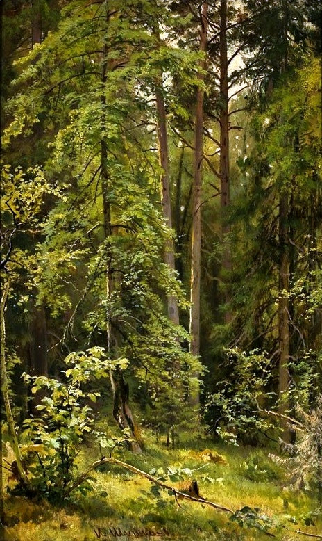 Rain in an Oak Forest - Ivan Chichkine