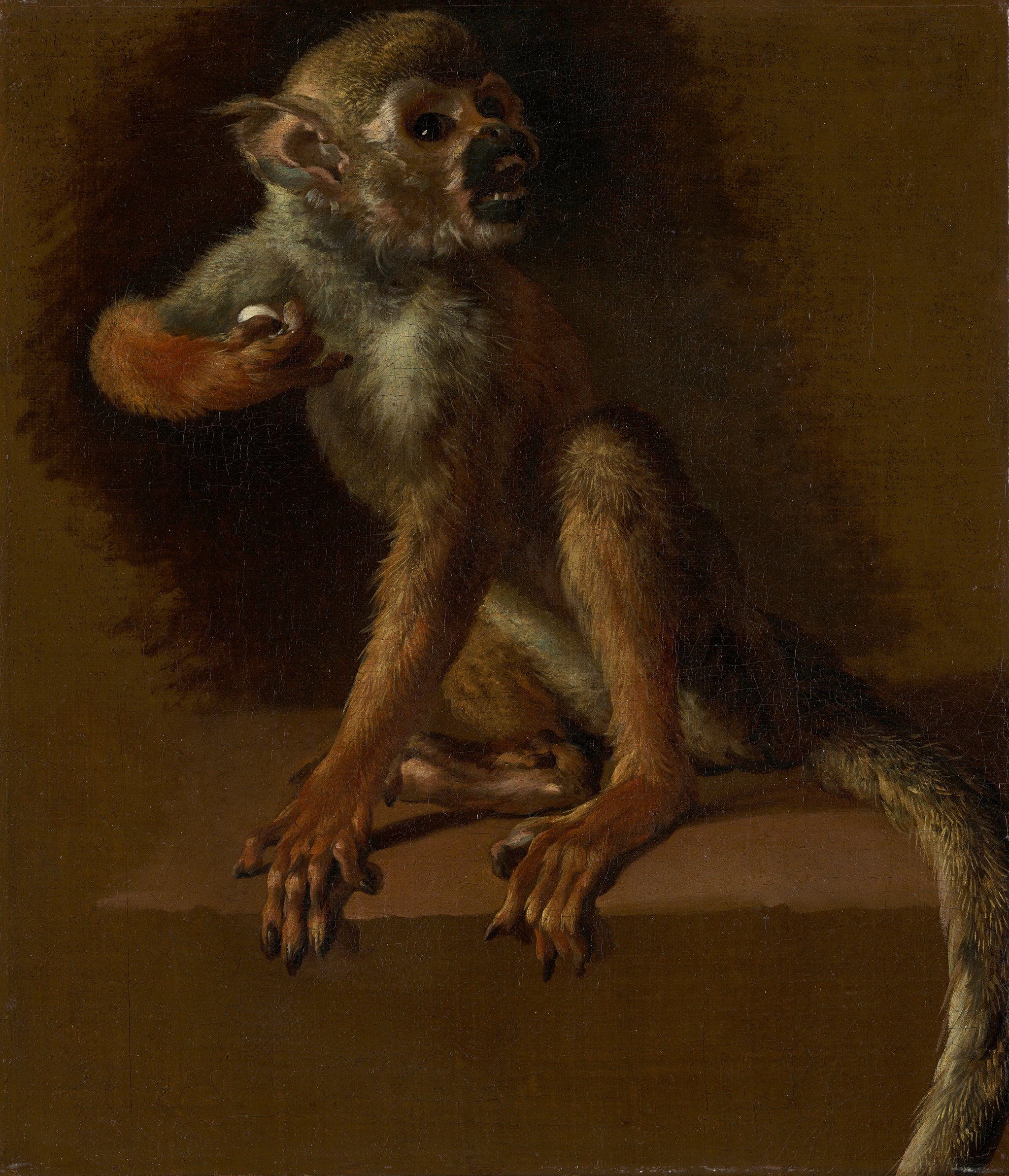 Un singe assis - Jan Weenix
