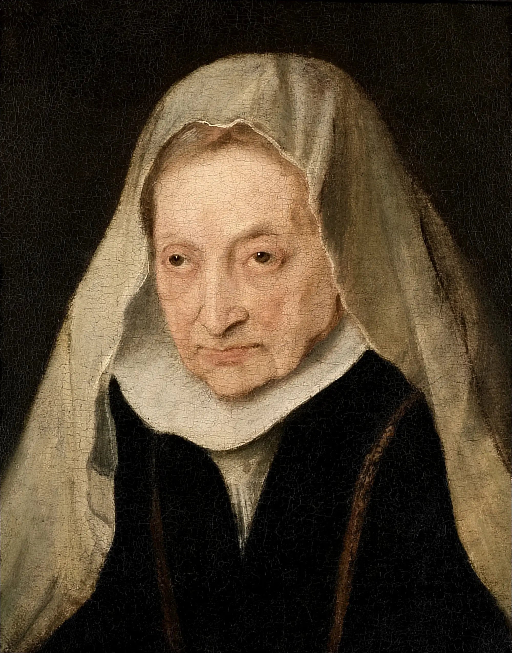 Sofonisba Anguissola - Antoine van Dyck image 1 reproduction de peinture à l’huile