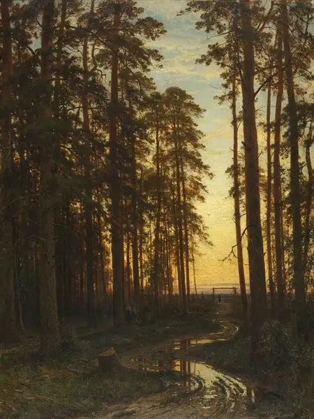 Soirée dans une forêt de pins - Ivan Chichkine
