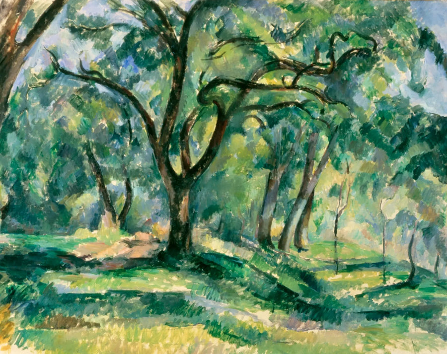 Sous-bois - Paul Cézanne