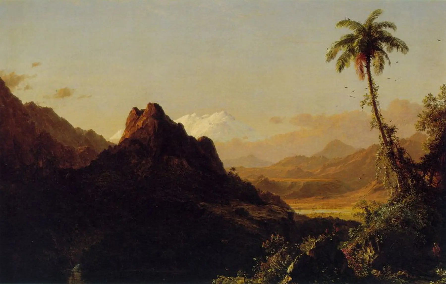 Sous les tropiques - Frederic Edwin Church image 1 reproduction artisanale de tableau