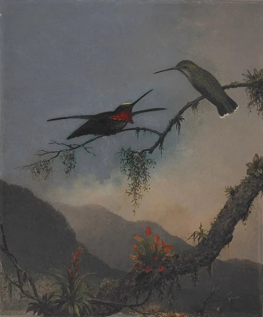 Starthroat à poitrine rayée - Martin Johnson Heade image 1 reproduction d’œuvre d’art à l’huile