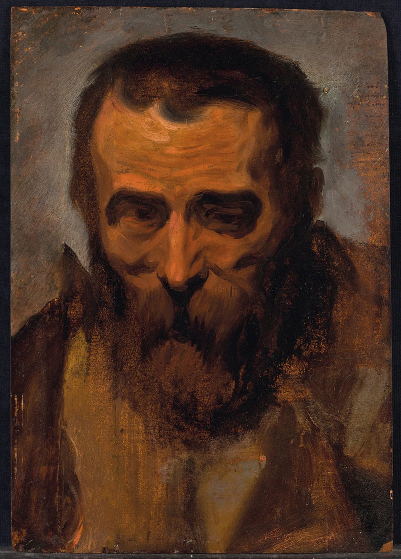 Studie voor het hoofd van een bebaarde man - Jacob Jordaens