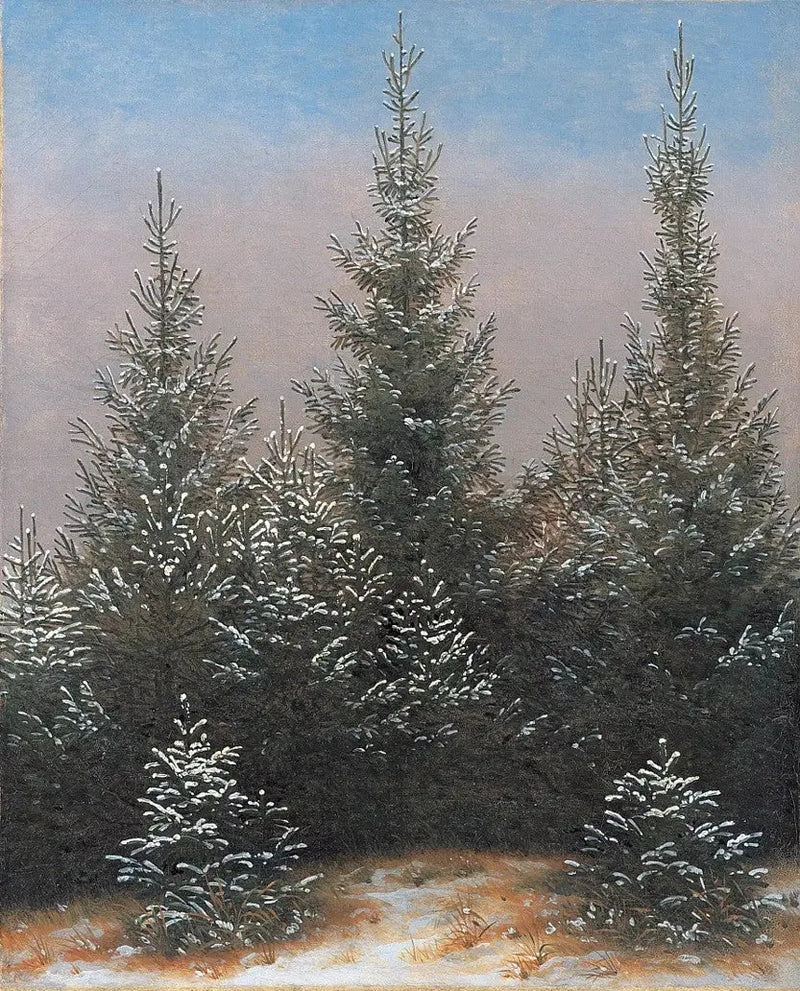 Taillis de l'épicée au neige - Caspar David Friedrich