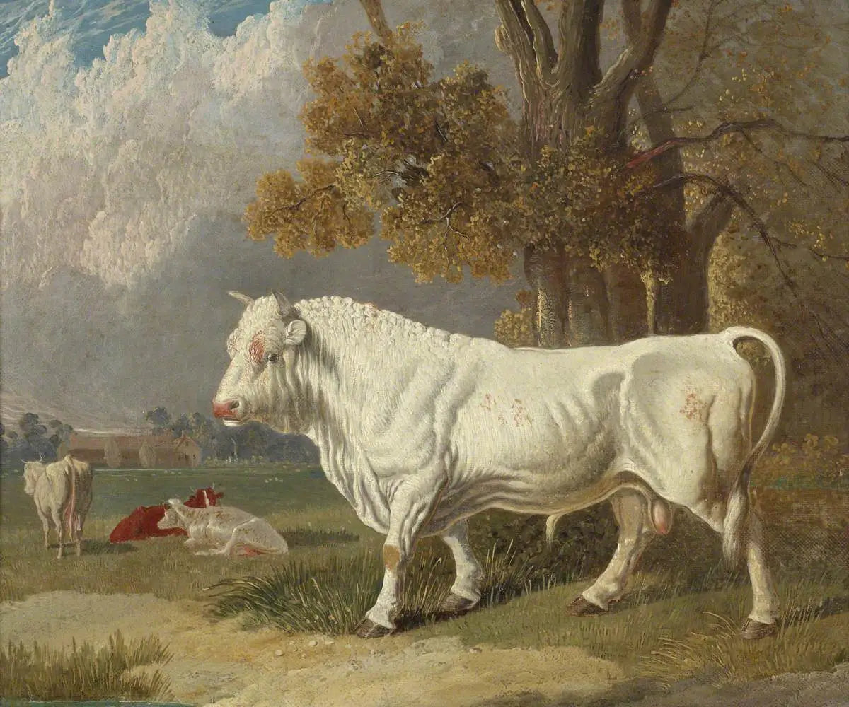 Taureau blanc, Fulbourn, Cambridgeshire, 1830 - John Frederick Herring, Sr. image 1 reproduction de peinture à l’huile
