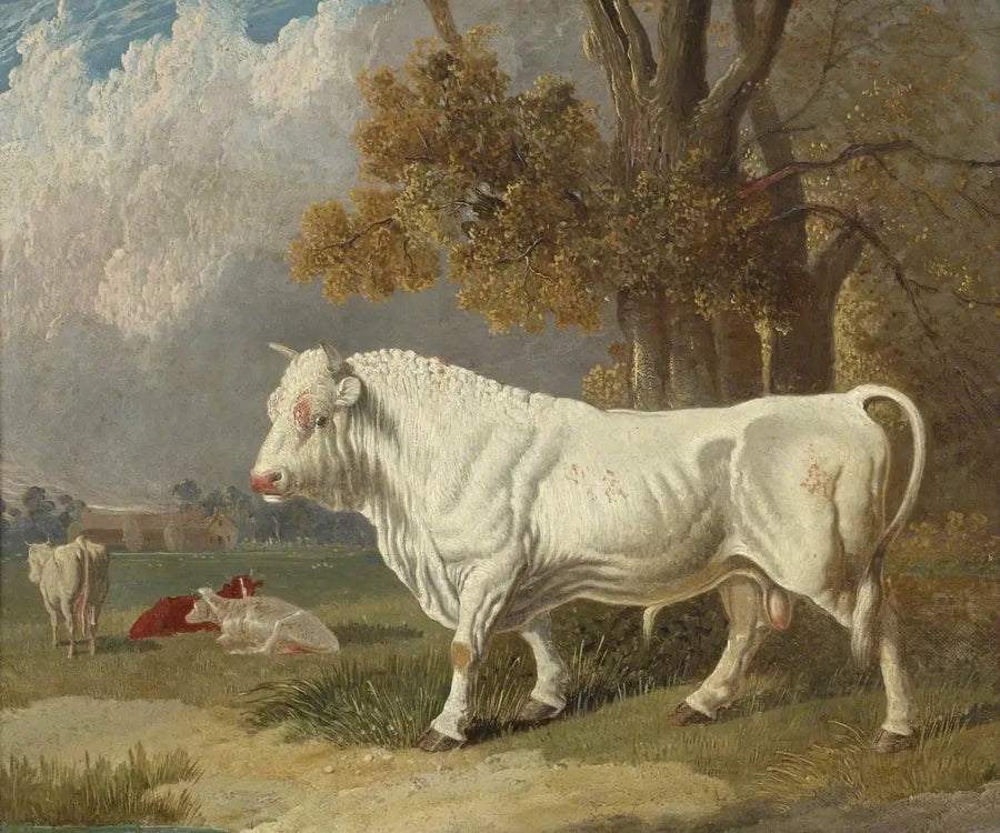 Taureau blanc, Fulbourn, Cambridgeshire, 1830 - John Frederick Herring, Sr.