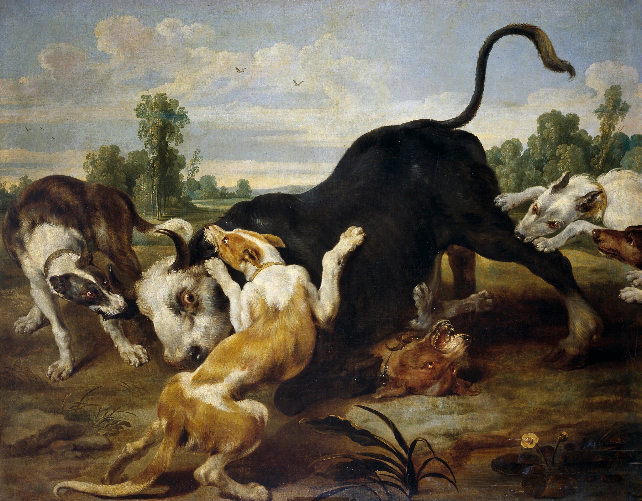 Un taureau déchiré par des chiens - Paul de Vos