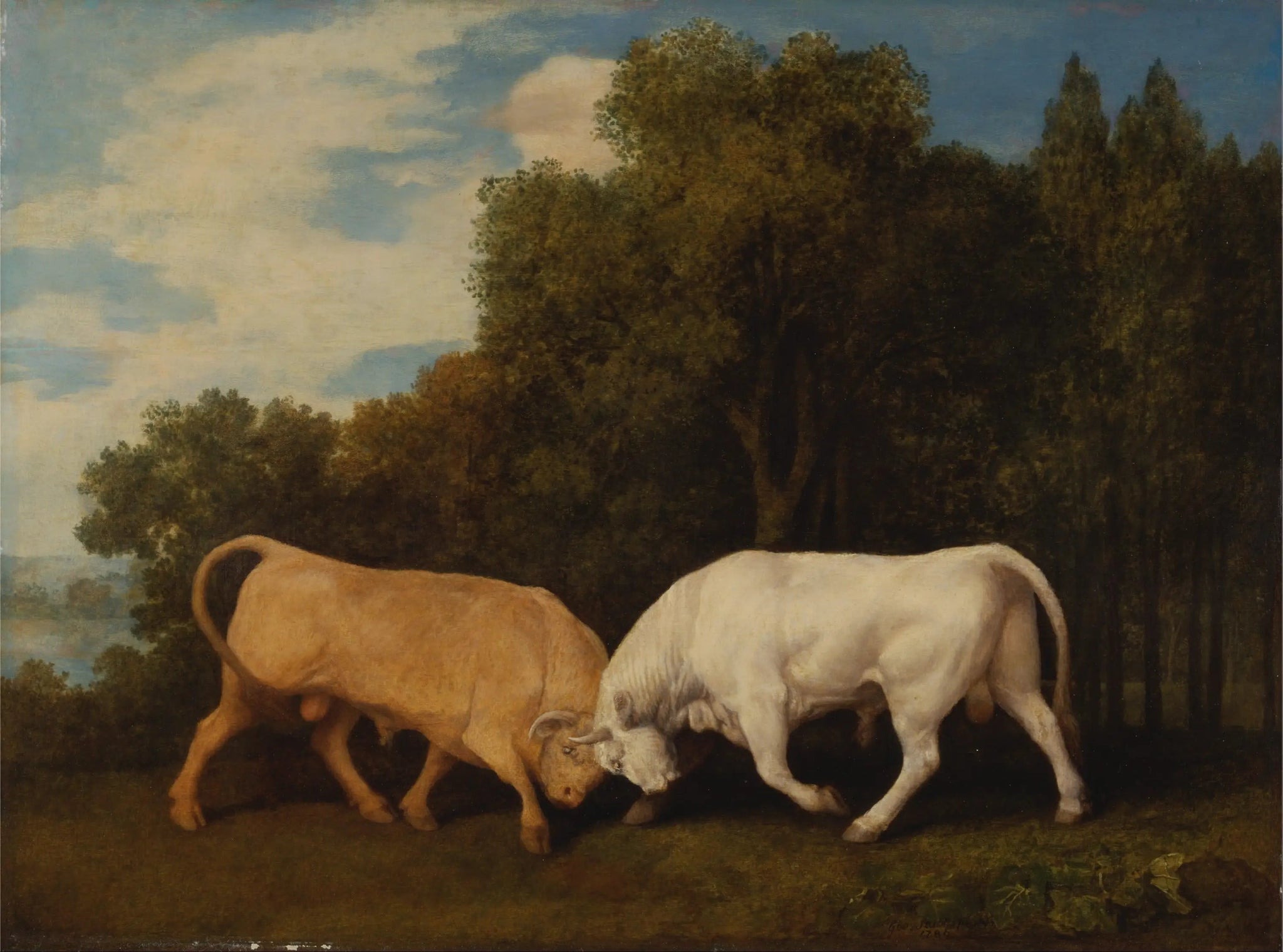 Taureaux - George Stubbs image 1 copie peinte à la main à l’huile