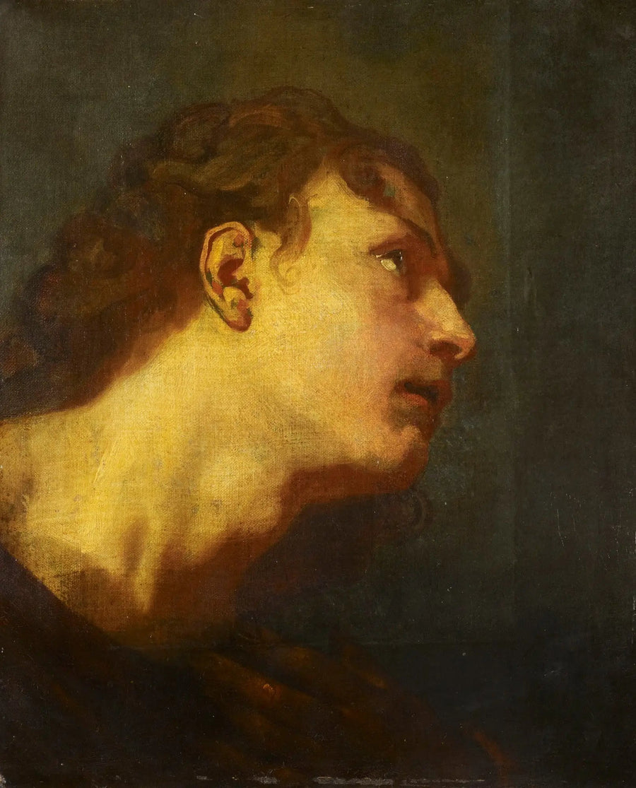 Tête d'un jeune homme - Antoine van Dyck