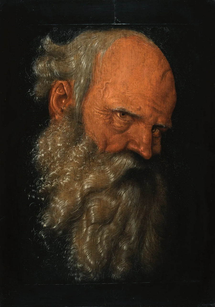 Tête d'un vieil homme barbu - Hans Baldung Grien
