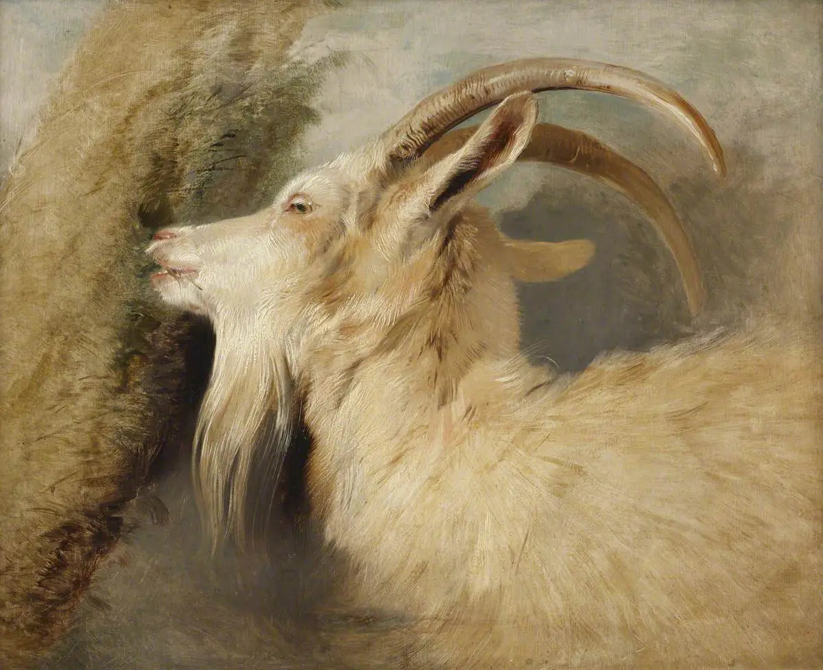 Tête de chèvre - Edwin Henry Landseer image 1 reproduction de peinture à l’huile