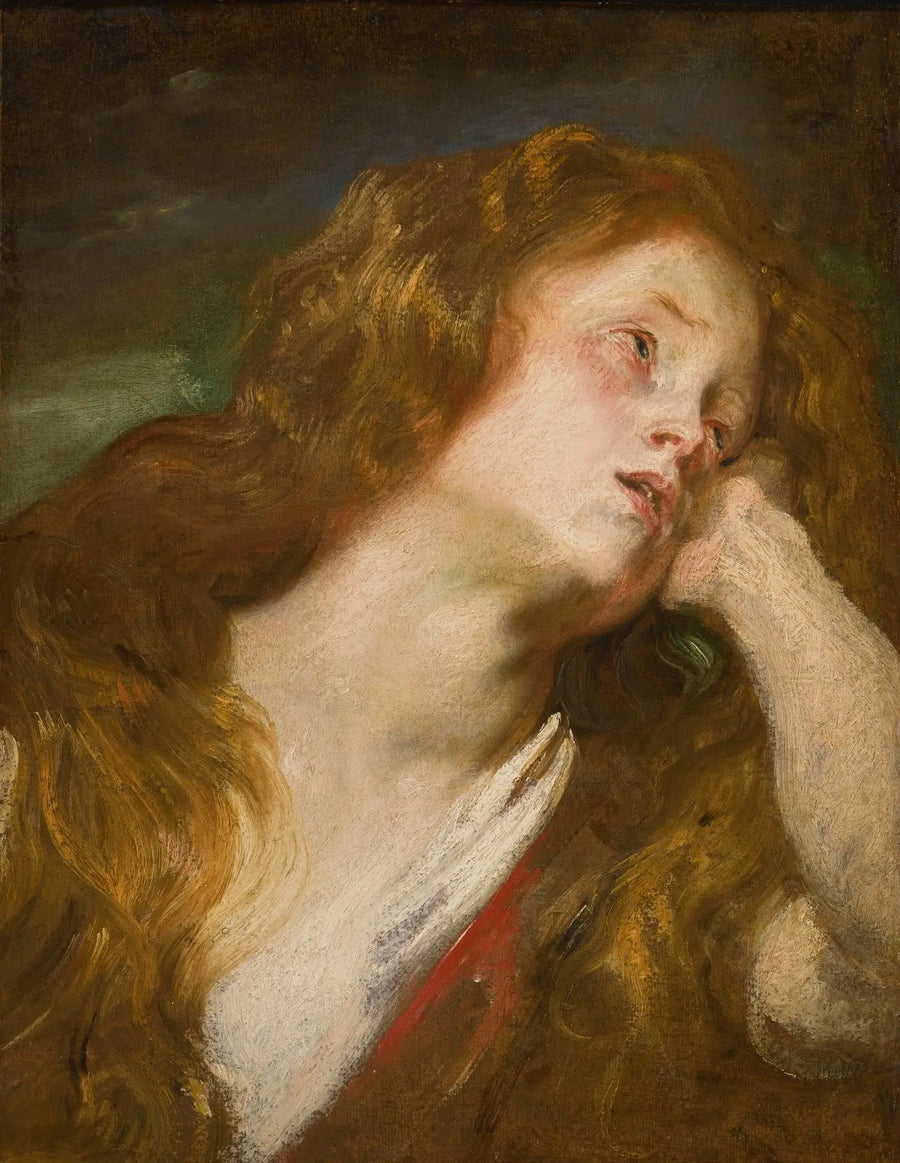 Tête de jeune femme - Antoine van Dyck