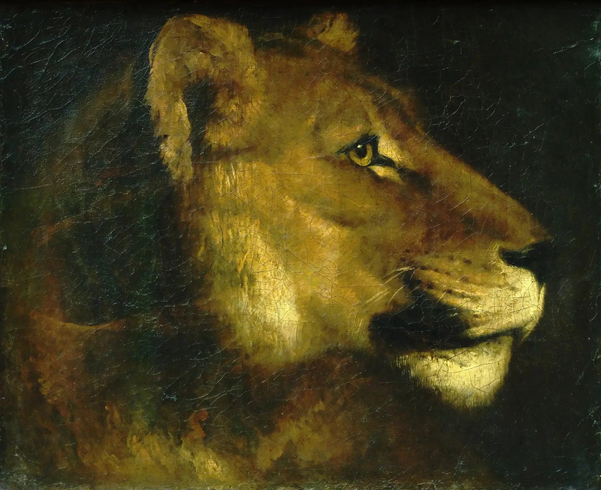 Tête de lionne - Théodore Géricault image 1 copie peinte à la main à l’huile