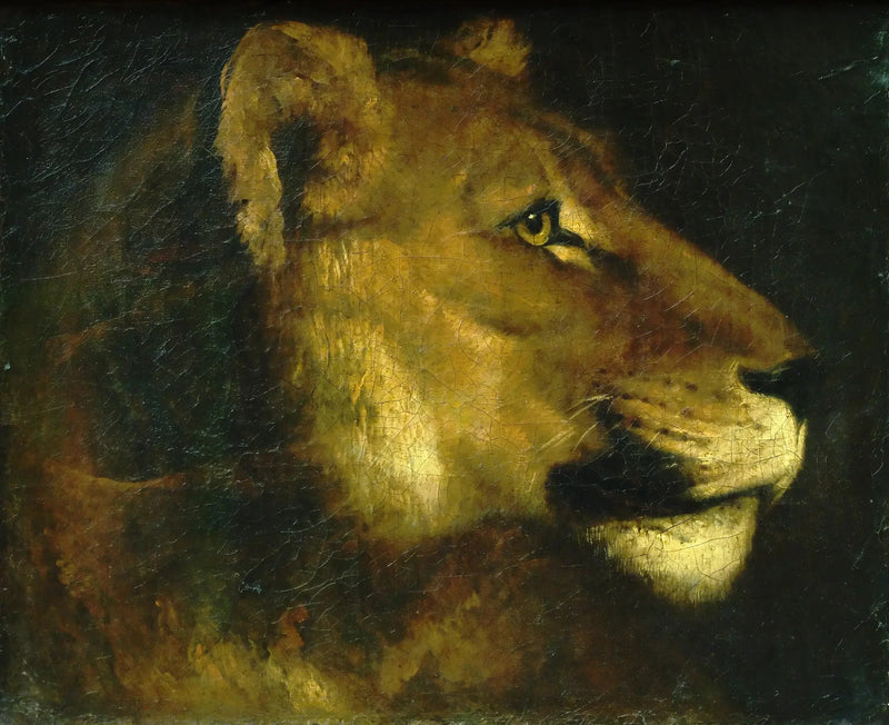 Tête de lionne - Théodore Géricault