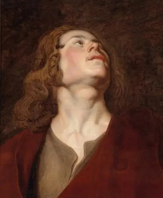 Tête de Saint Jean - Peter Paul Rubens image 1 reproduction artisanale de tableau