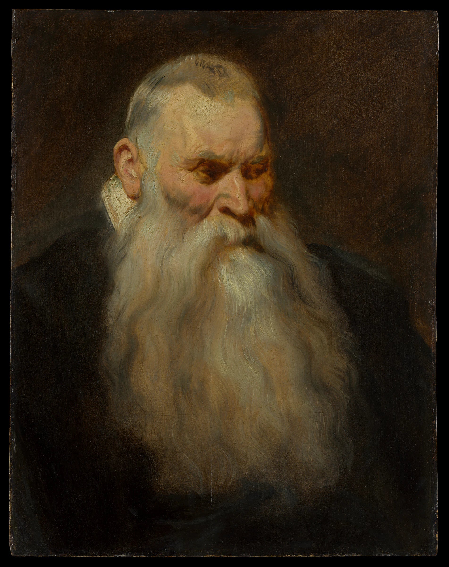 Tête d'étude d'un vieil homme à la barbe blanche - Anthony van Dyck