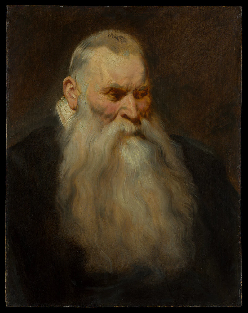 Tête d'étude d'un vieil homme à la barbe blanche - Anthony van Dyck