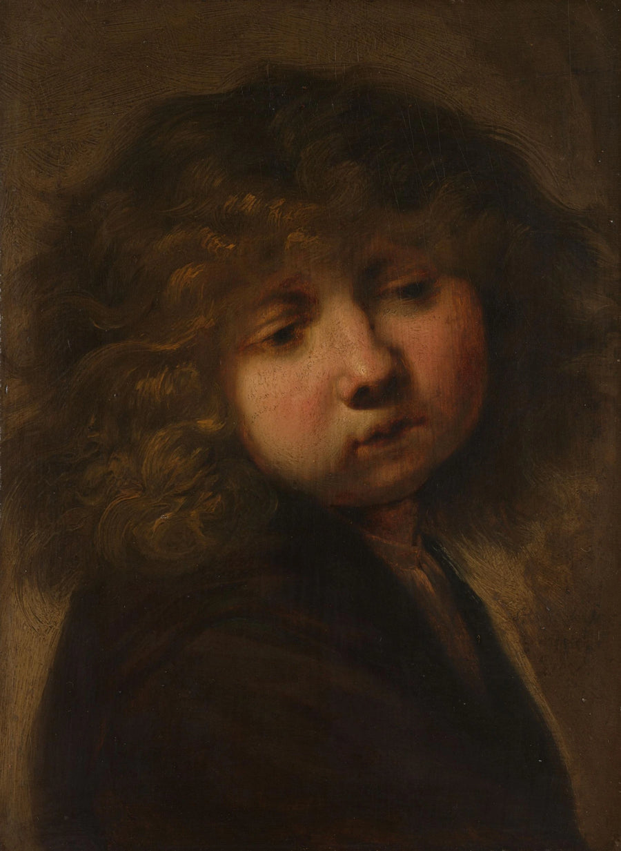 Tête de garçon – suiveur de Jan Lievens, après 1643