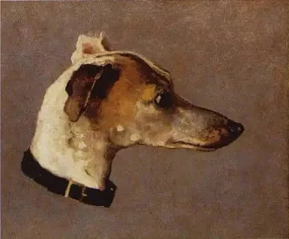 Tête de lévrier W12 par Claude Monet, 1862–1863, collection particulière