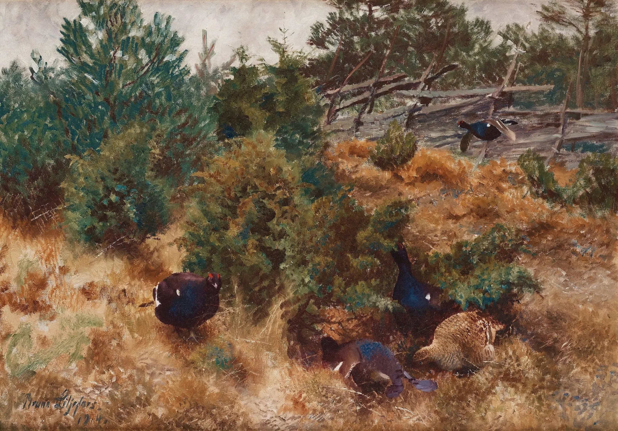 Tétras lyre dans un paysage d'automne - Bruno Liljefors image 1 copie peinte à la main à l’huile