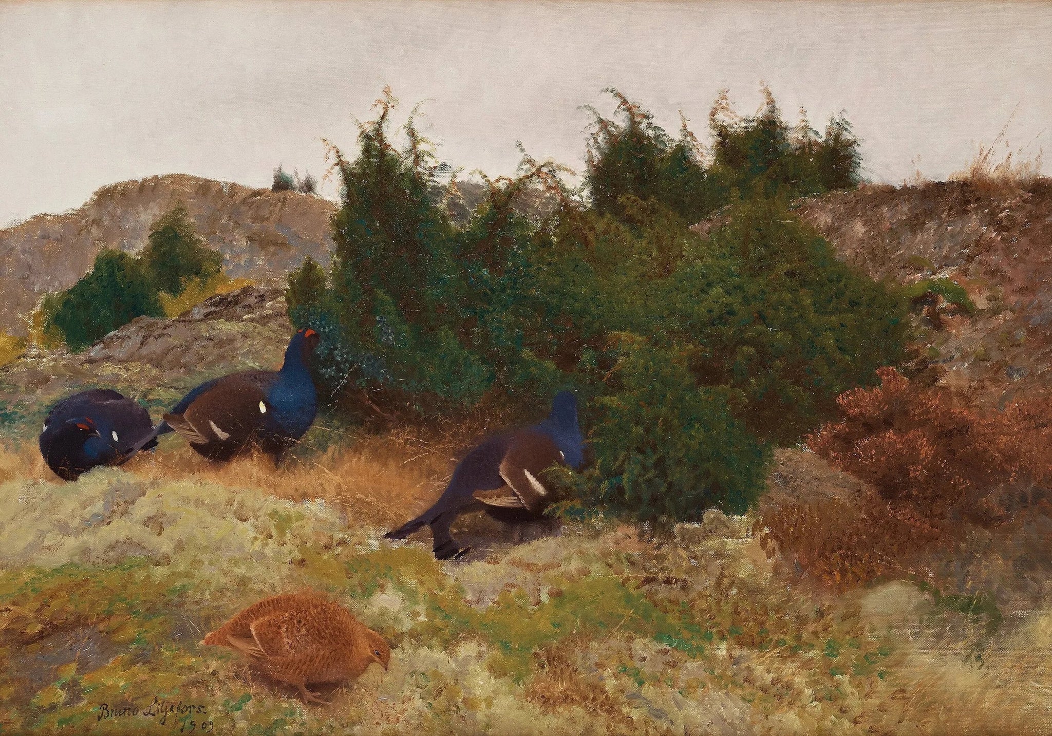 Tétras lyre en automne - Bruno Liljefors image 1 reproduction d’œuvre d’art à l’huile