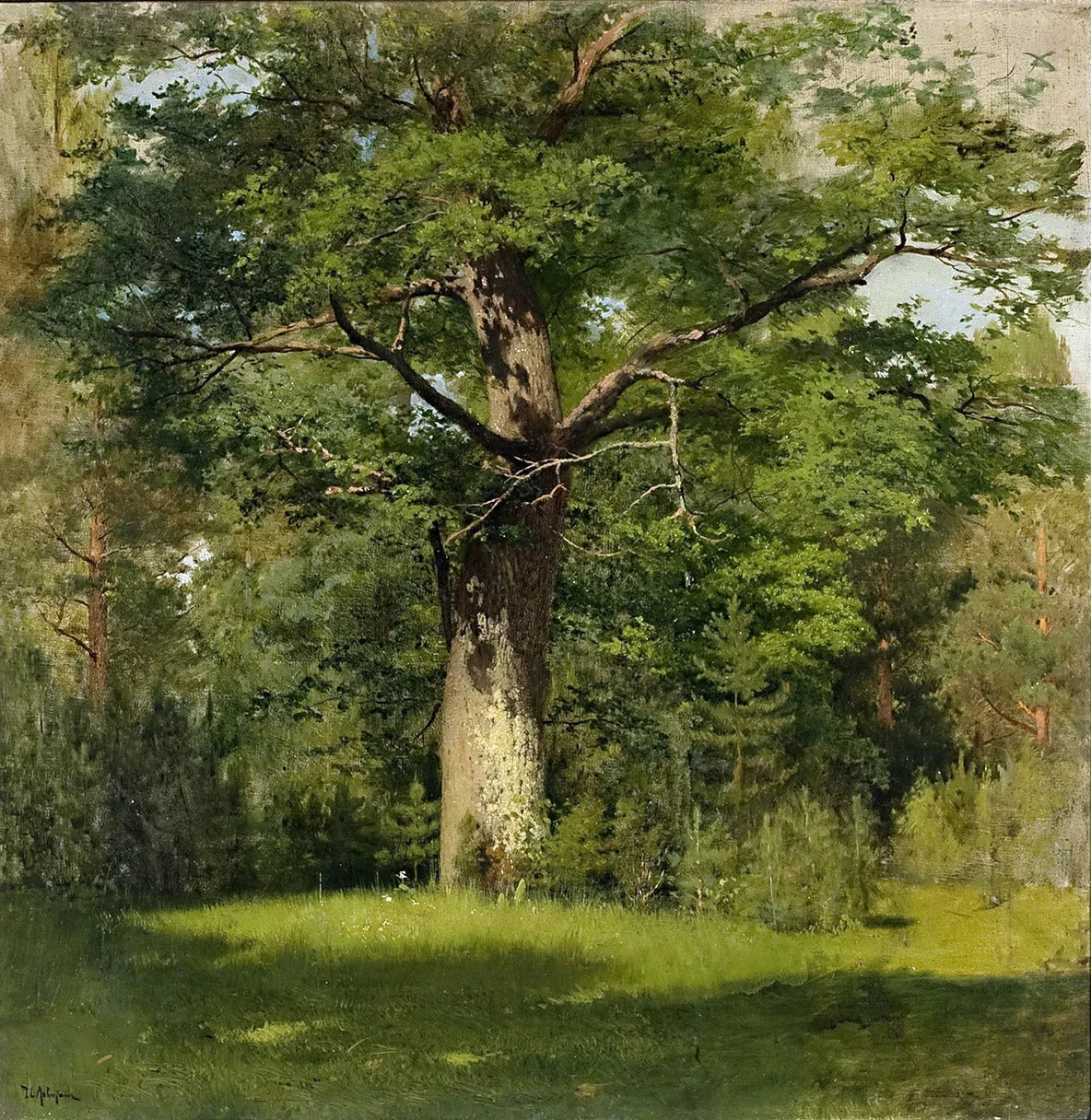 The Oak - Isaac Levitan image 1 reproduction de peinture à l’huile