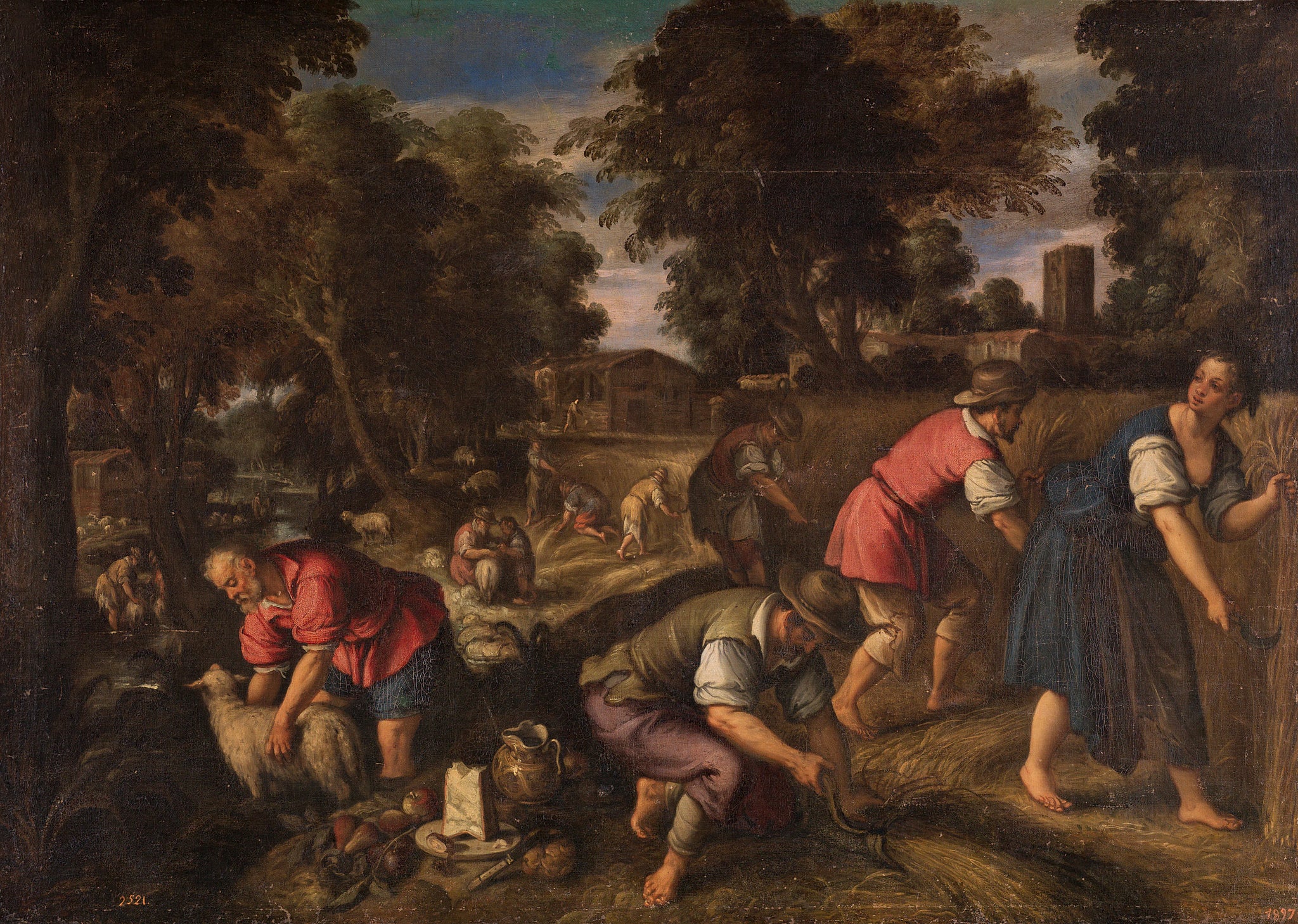 Tondre et tondre, ou l'été - Paolo Fiammingo
