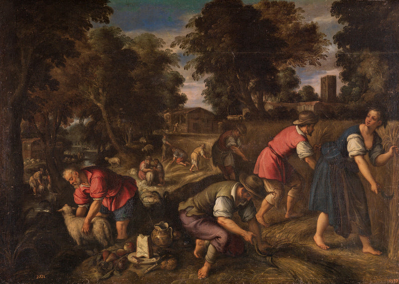 Tondre et tondre, ou l'été - Paolo Fiammingo