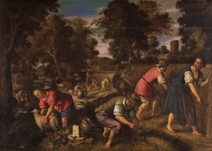 Tondre et tondre, ou l'été - Paolo Fiammingo