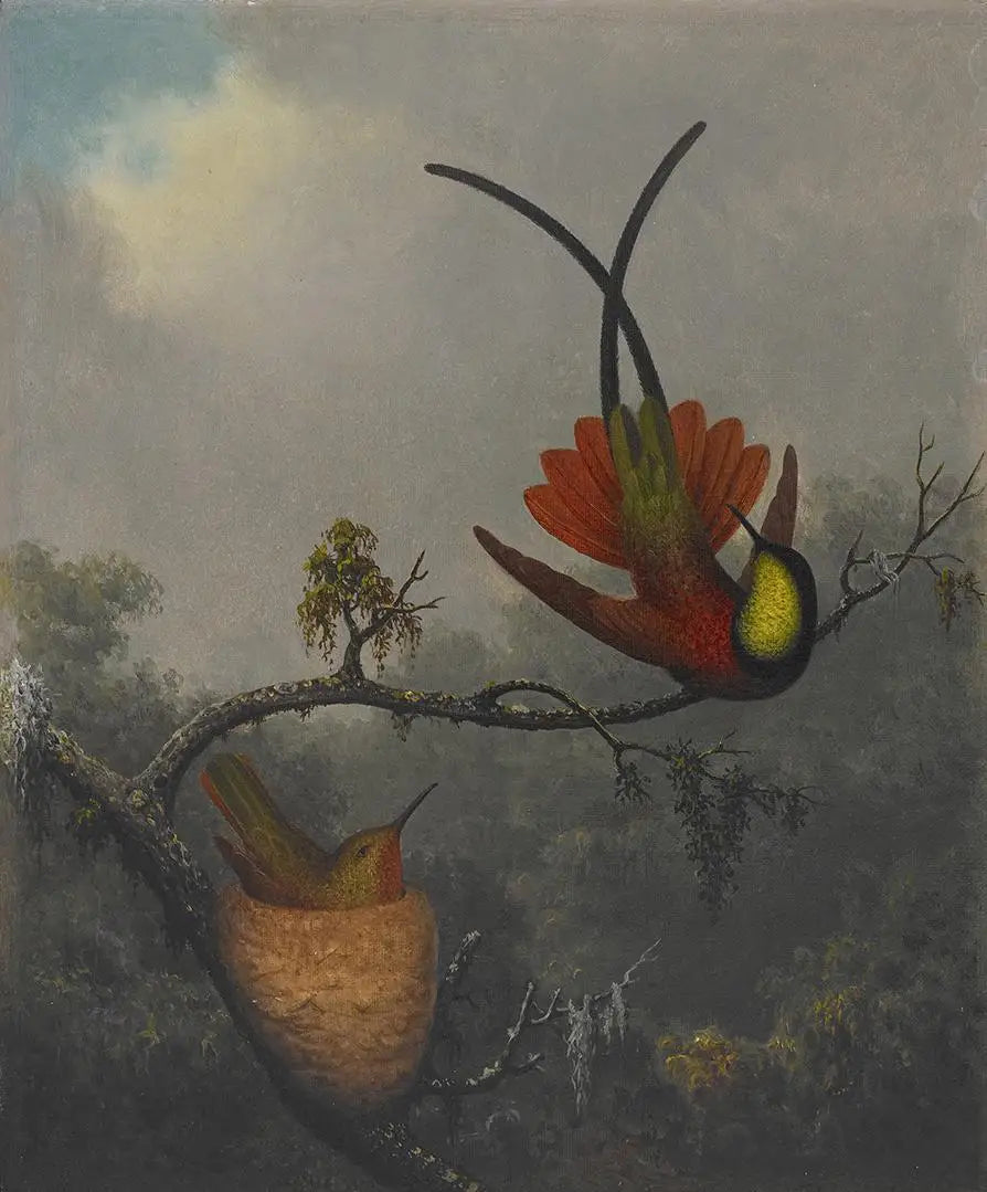 Topaze cramoisie - Martin Johnson Heade