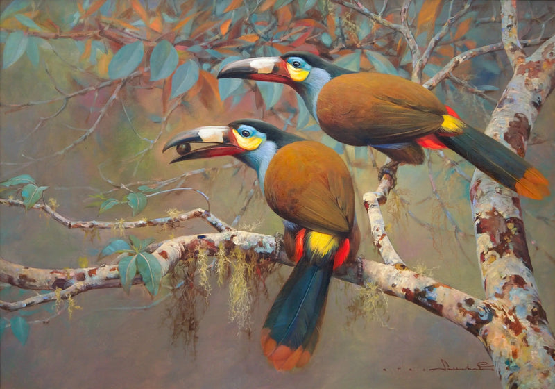 Toucan des Montagnes | 60 x 90 cm