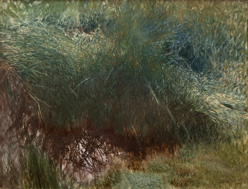 Touffe de roseaux - Bruno Liljefors