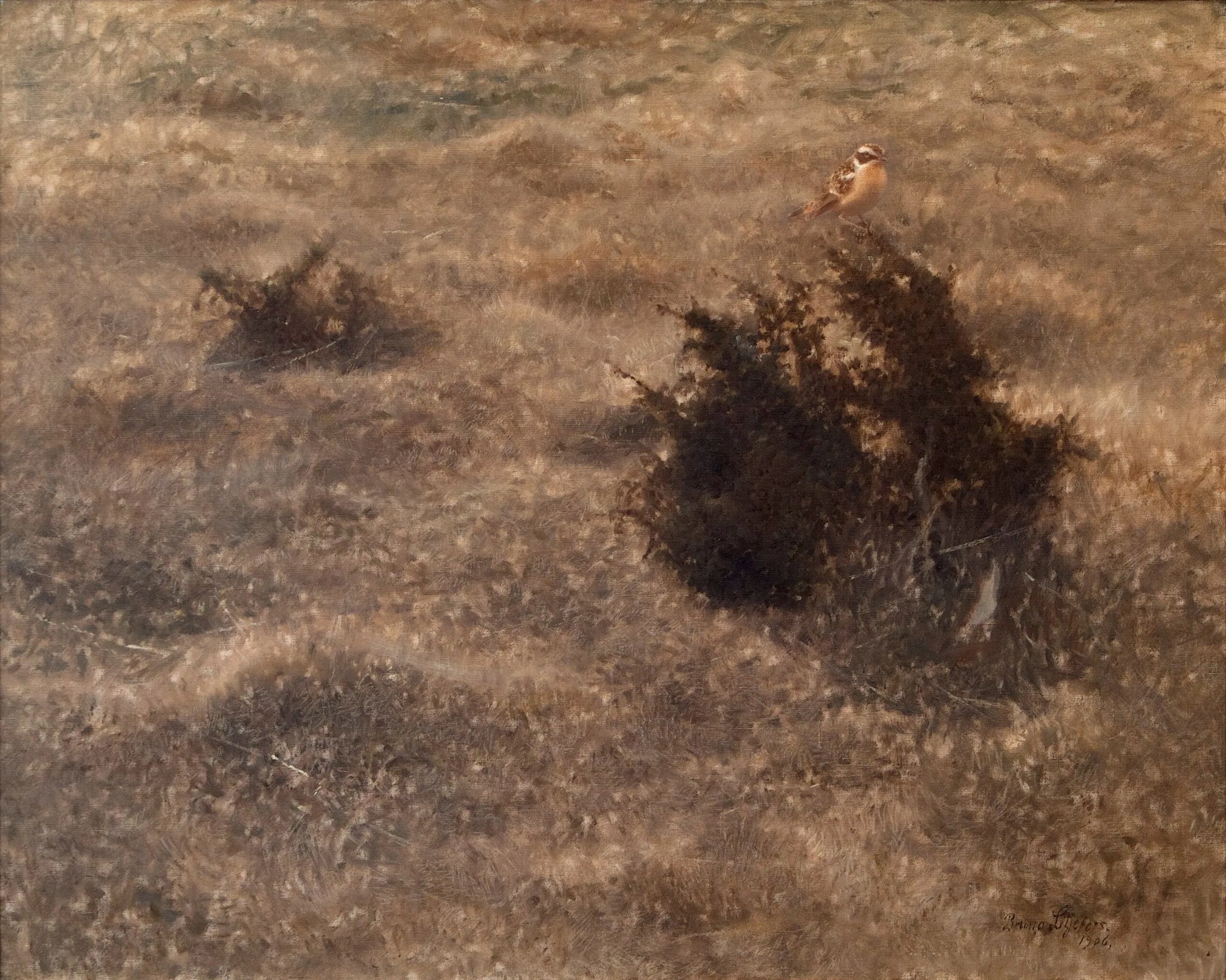 Traquet des prés - Bruno Liljefors image 1 reproduction de peinture à l’huile