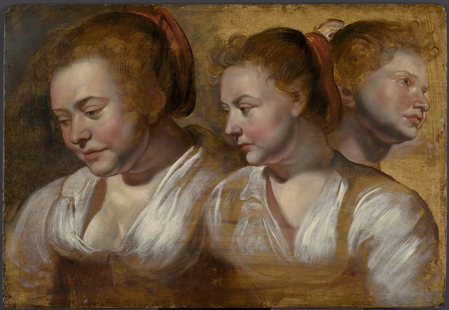 Trois études sur une jeune femme - Jacob Jordaens