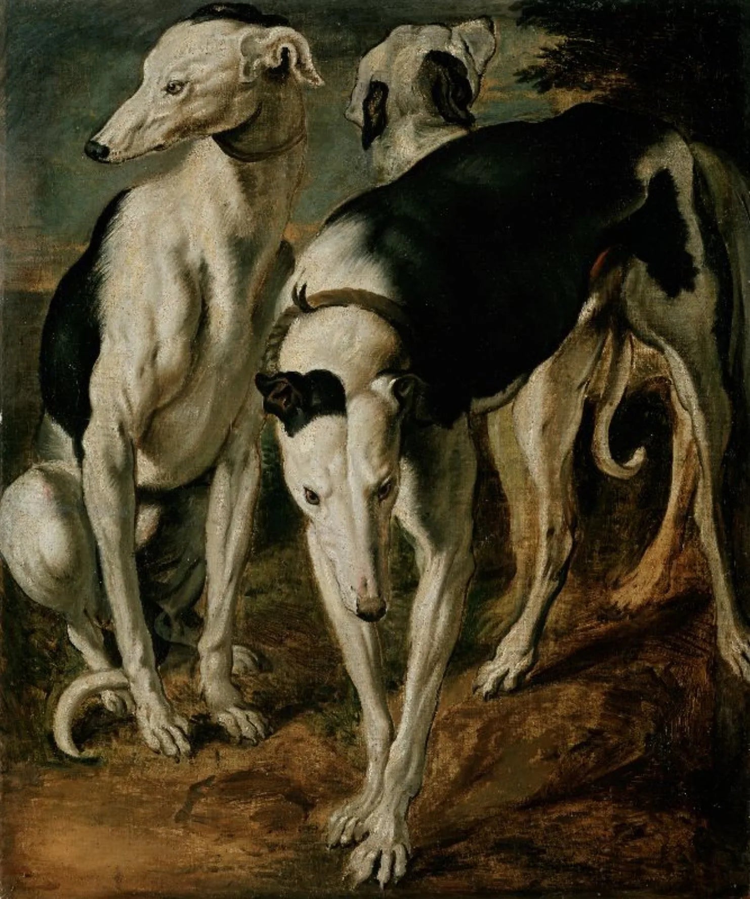 Trois lévriers - Frans Snyders image 1 reproduction d’œuvre d’art à l’huile