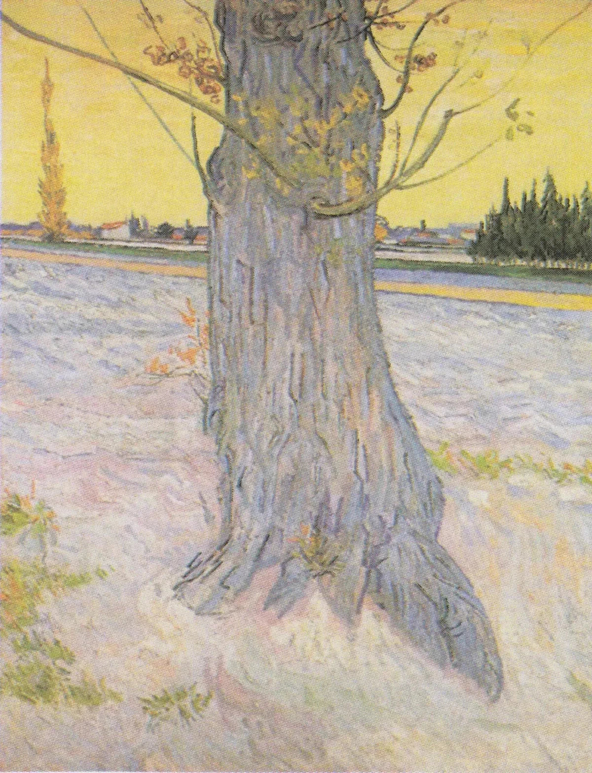 Tronc d’un vieil if F573 de Vincent van Gogh devant un champ labouré