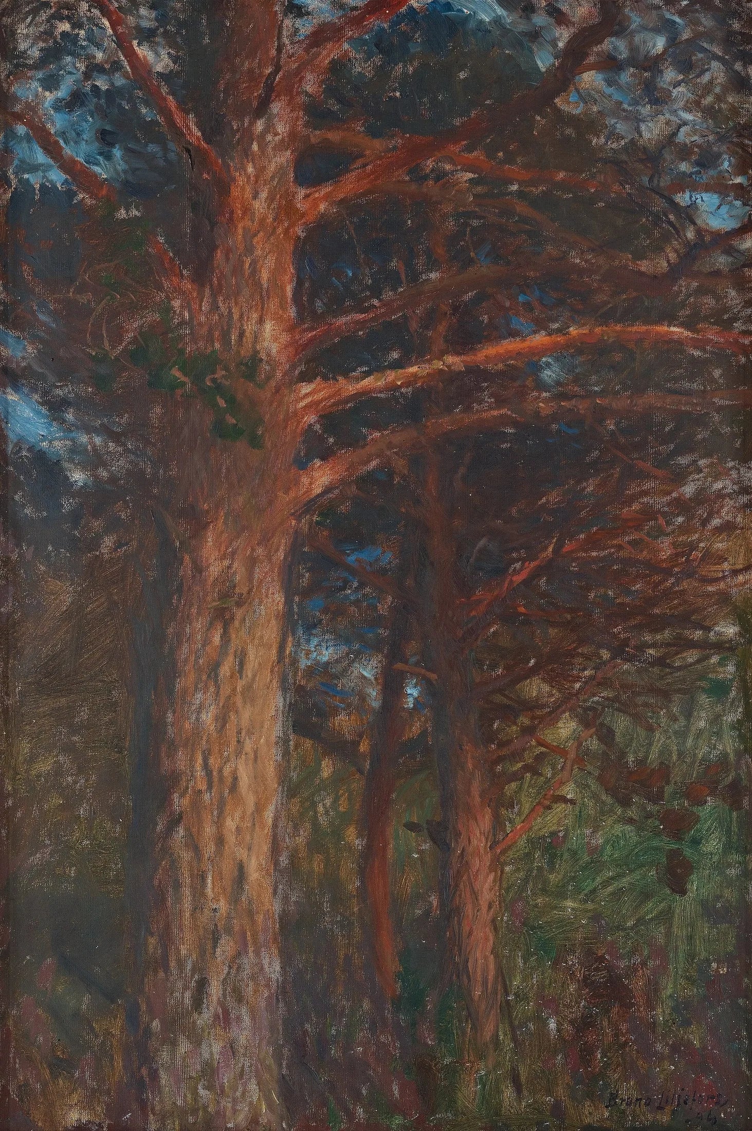 Troncs de pins après le coucher du soleil - Bruno Liljefors image 1 reproduction d’œuvre d’art à l’huile