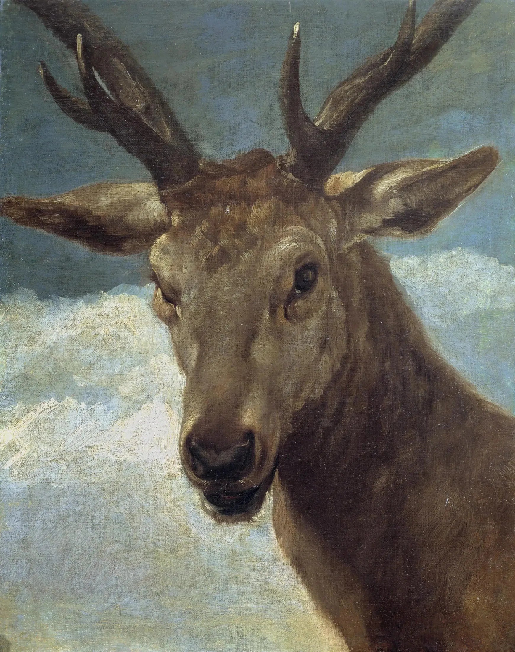 Trophée de chasse - Diego Velázquez image 1 reproduction de peinture à l’huile