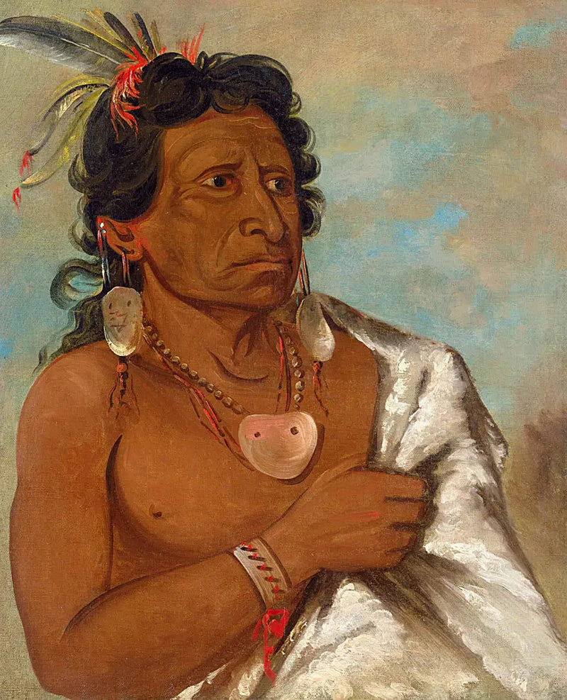 U'sh-ee-kitz, Celui qui se bat avec une plume, chef de la tribu - George Catlin