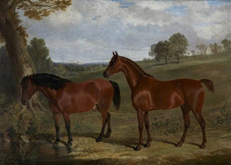 Un cheval bai et un poney dans un paysage - John Frederick Herring, Sr.