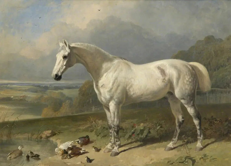 Un cheval gris et des canards dans un paysage - John Frederick Herring, Sr.