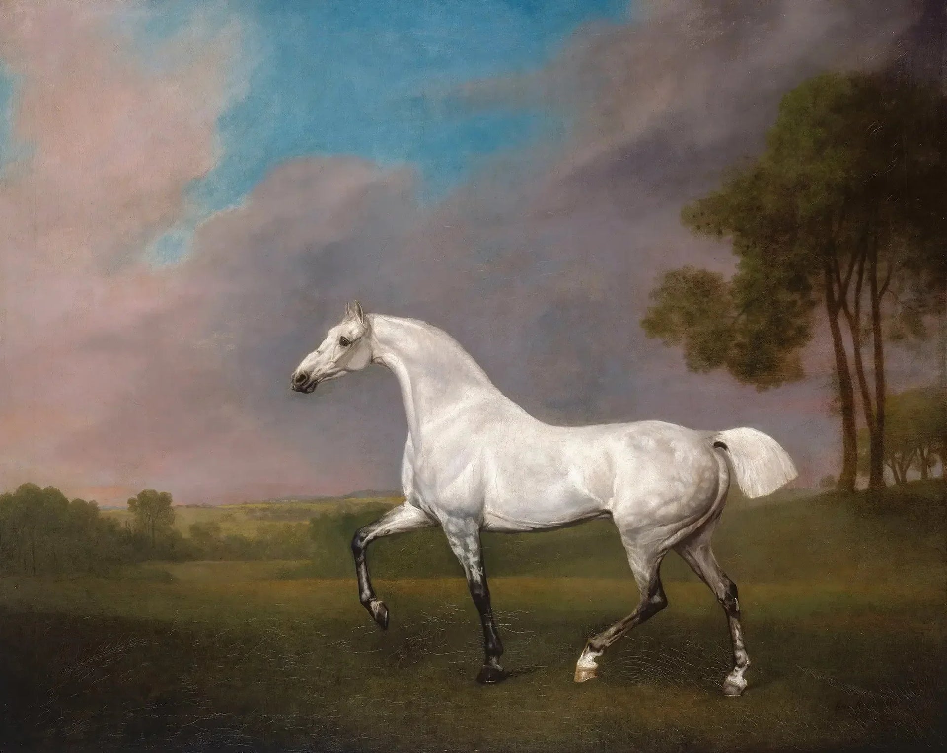 Un cheval gris - George Stubbs image 1 copie peinte à la main à l’huile