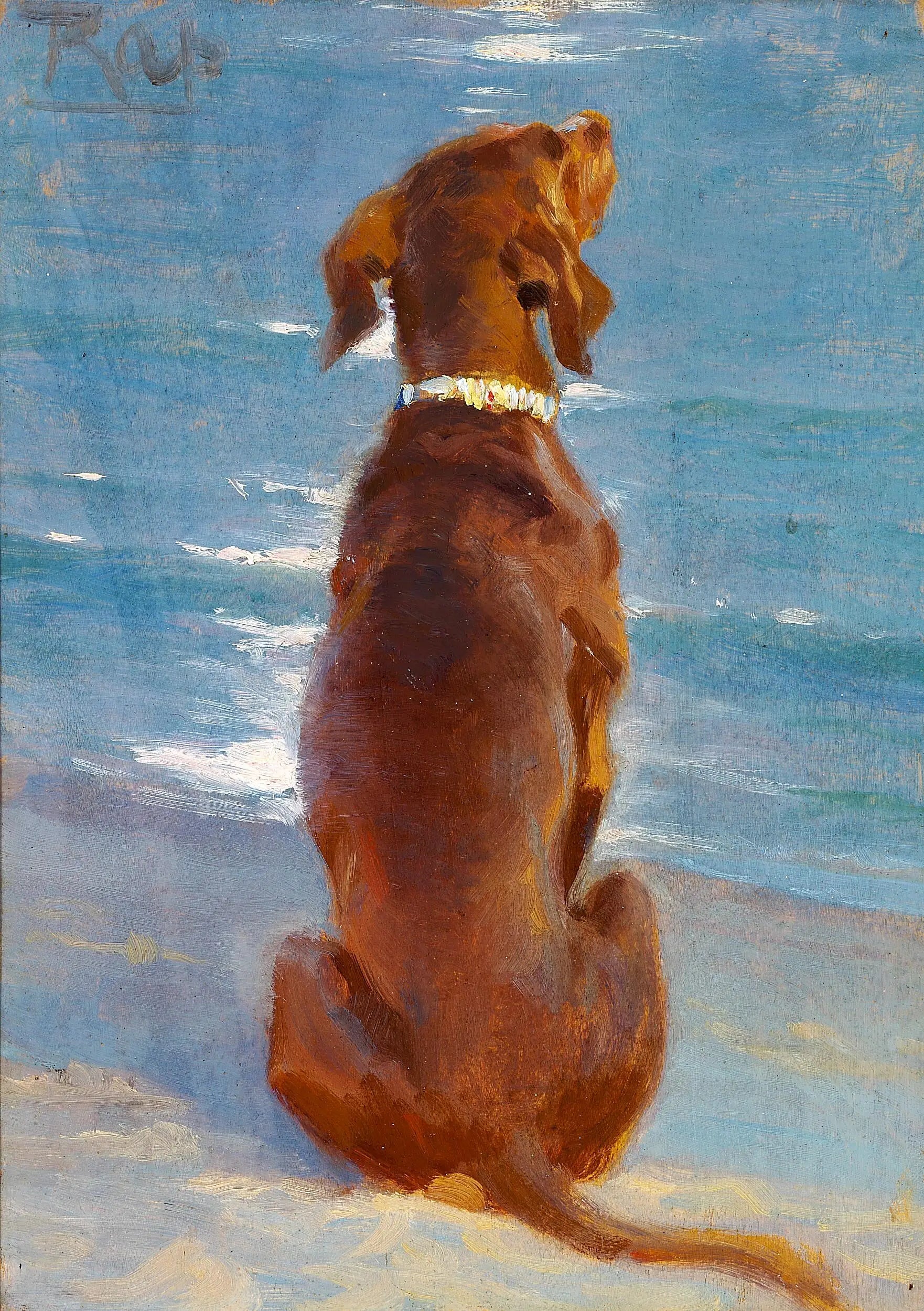 Un chien brun assis. Rap. - Peder Severin Krøyer image 1 copie peinte à la main à l’huile