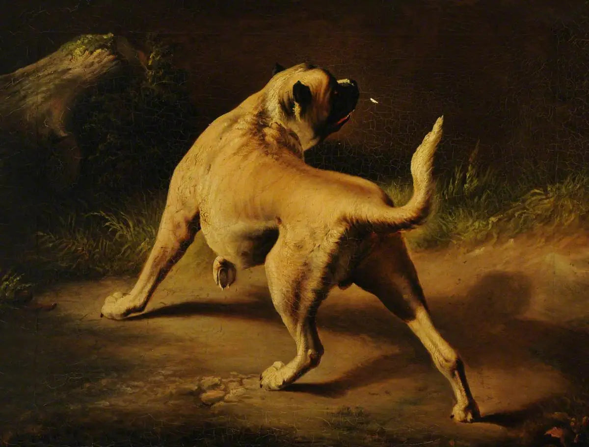 Un chien en alerte - Edwin Henry Landseer image 1 tableau peint à l’huile sur toile