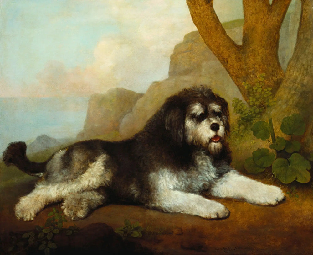Un chien rude - George Stubbs image 1 reproduction réalisée par Alpha Reproduction
