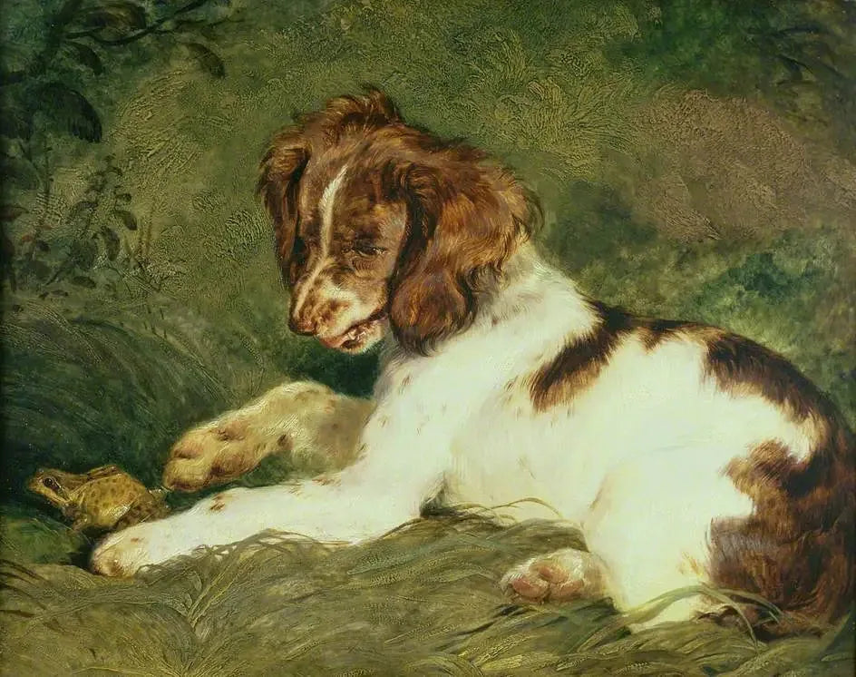 Un chiot taquine une grenouille - Edwin Henry Landseer image 1 reproduction réalisée par Alpha Reproduction