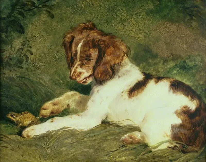 Un chiot taquine une grenouille - Edwin Henry Landseer